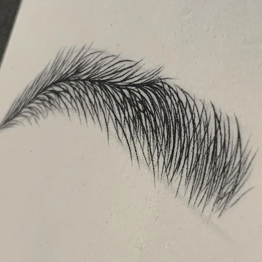 Sobrancelha desenhada fio a fio no papel, exercício da formação