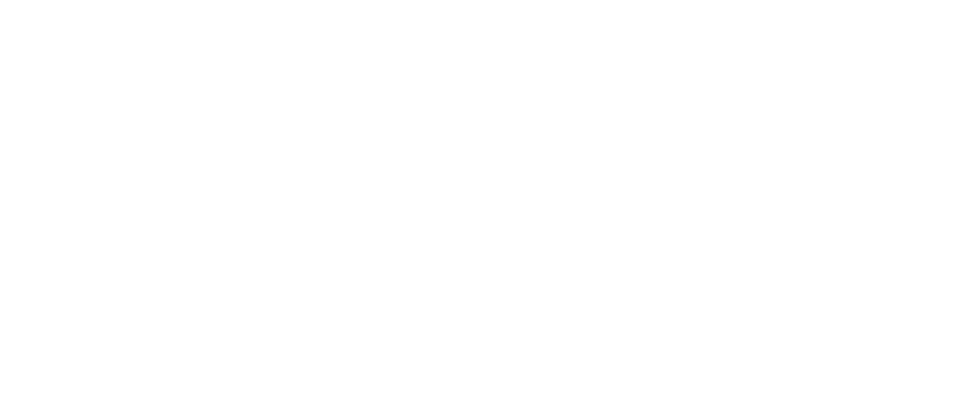Basic Nano Fios